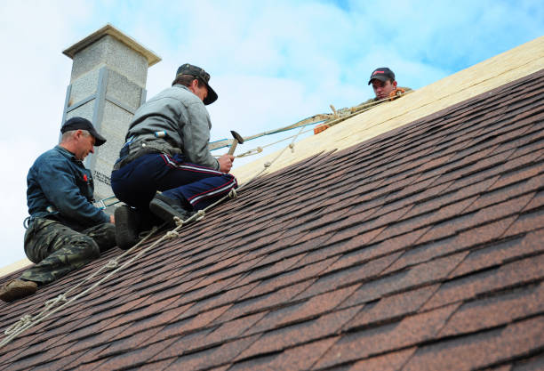 Best Roof Gutter Cleaning  in Woodville, TX